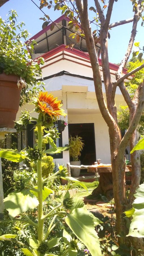 Redwood Homestay Nuwara Eliya Luaran gambar