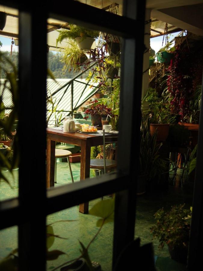 Redwood Homestay Nuwara Eliya Luaran gambar