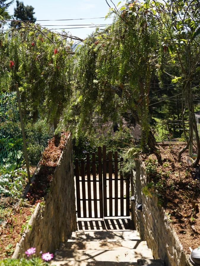 Redwood Homestay Nuwara Eliya Luaran gambar