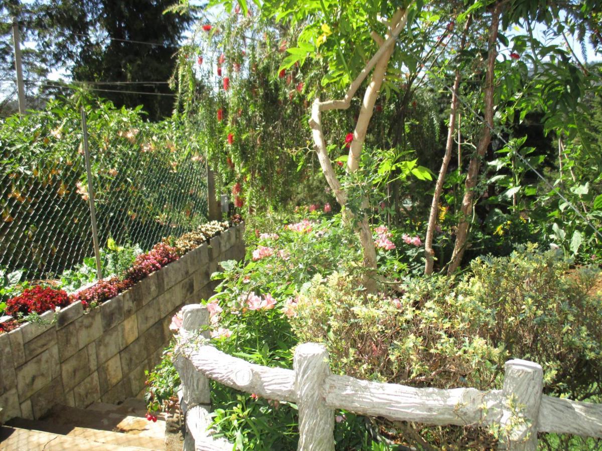 Redwood Homestay Nuwara Eliya Luaran gambar