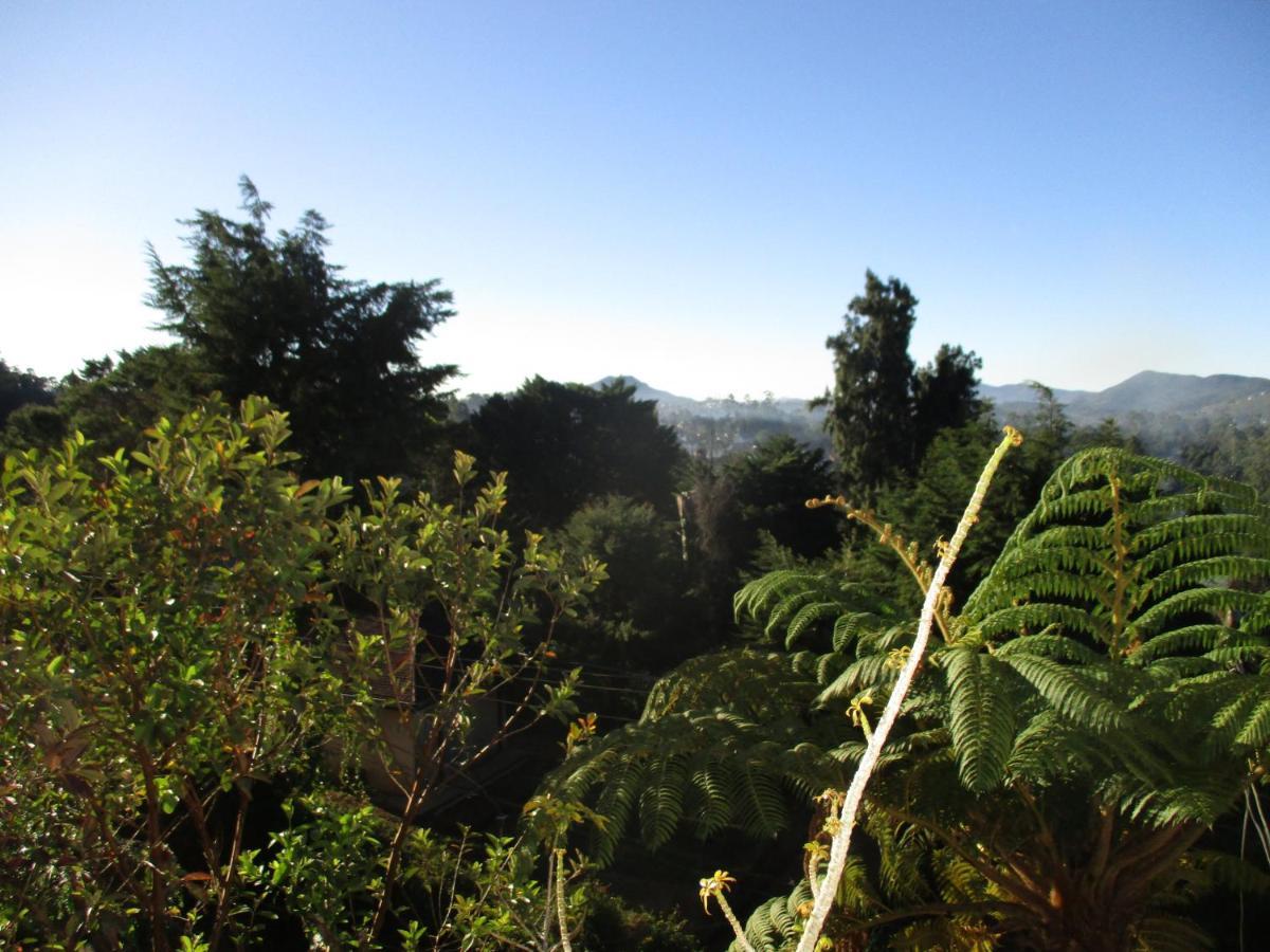 Redwood Homestay Nuwara Eliya Luaran gambar